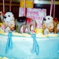 Katie\'s Birthday Cake #1